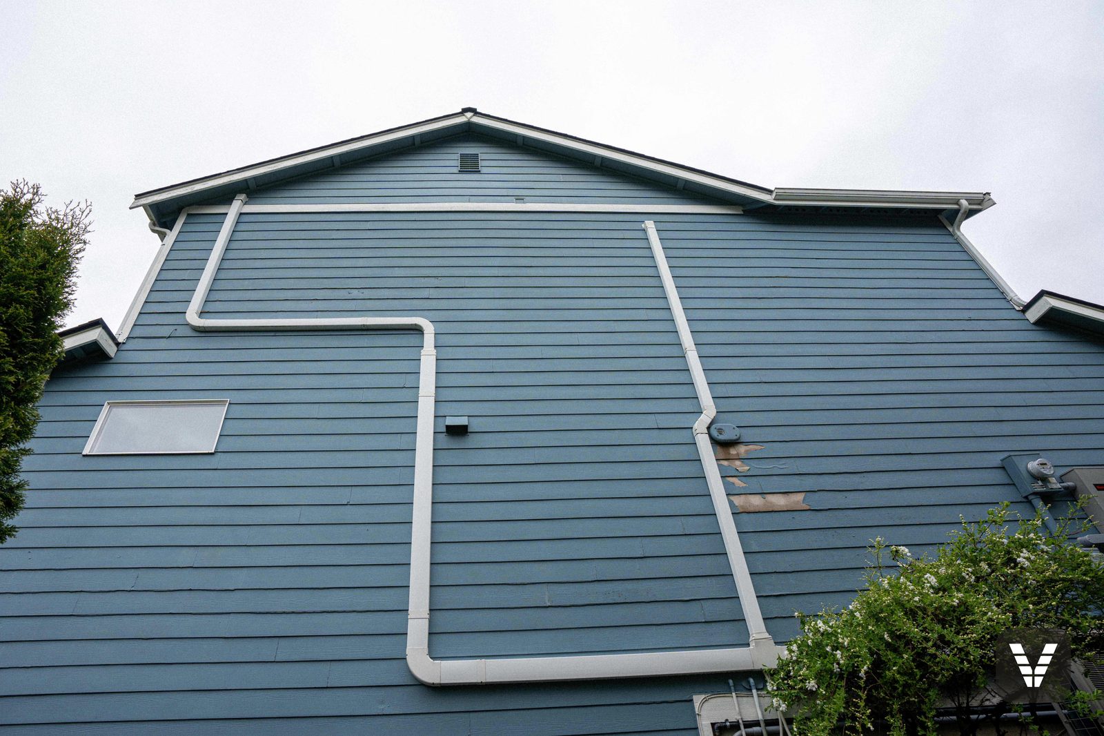 Paint failing in sheets on old hardboard siding — a Bellingham wall before replacement