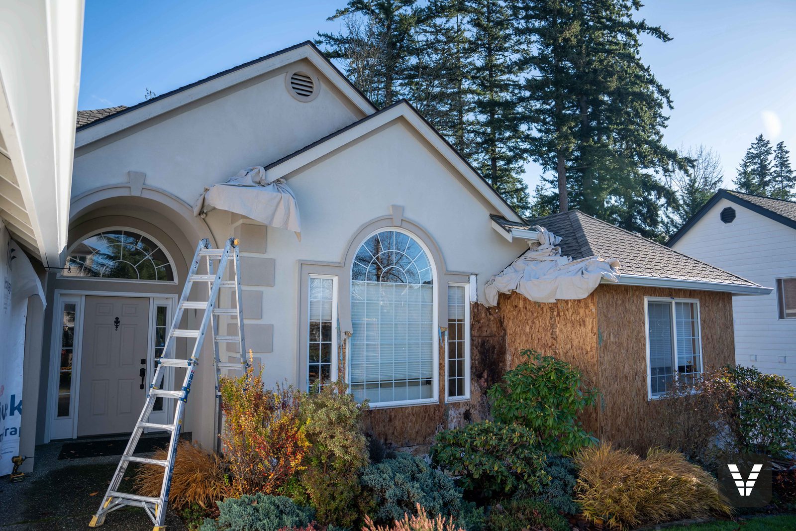Tear-off in progress at a Bellingham entry — drop cloths protecting the garden beds