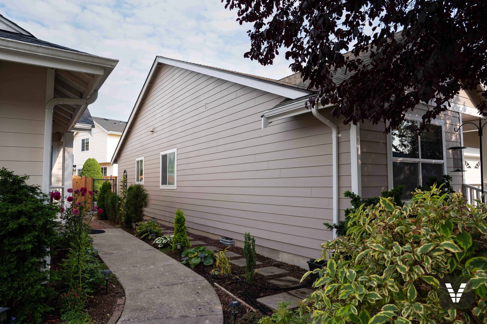 The garden path along the south side — new lap running clean behind the owner's beds — Siding & Window Vault project in Bellingham, WA